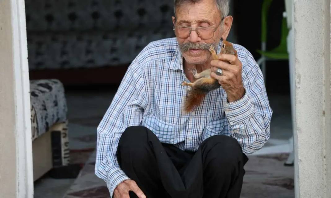 Adana’da Hasan Amca’nın Tek Yoldaşı Sincap Dostu Oldu! 6